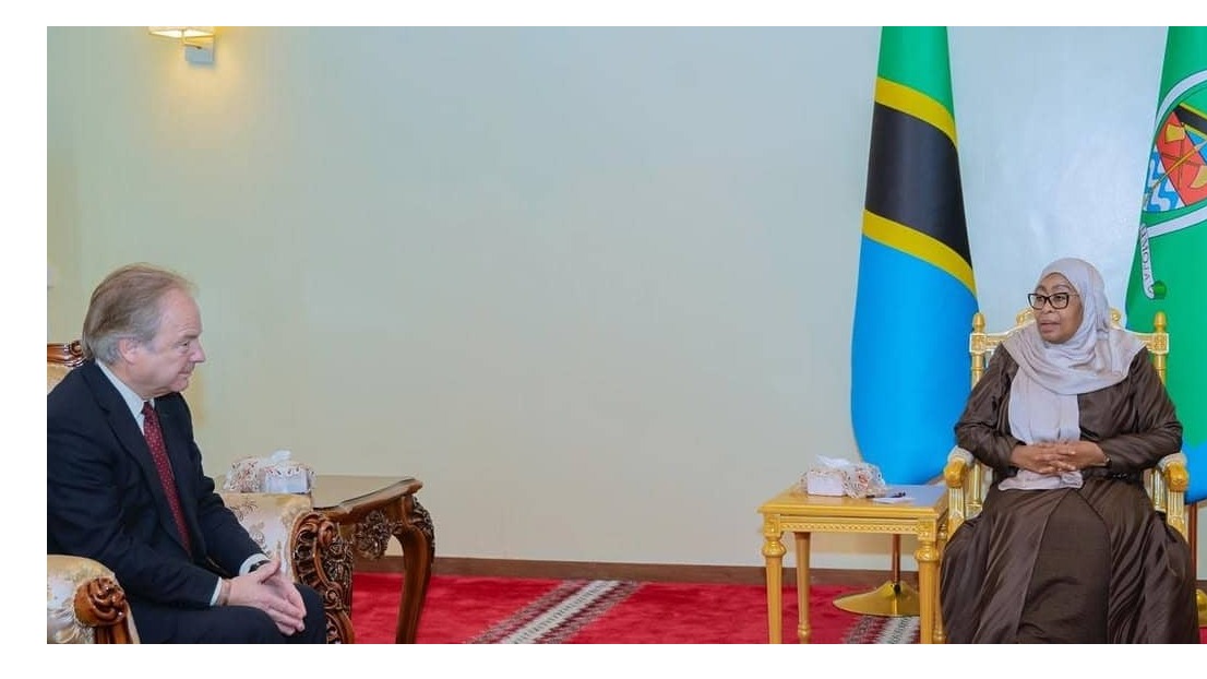 Rais Samia Azungumza na Naibu Mwenyekiti wa Biashara ya Jumuiya ya Madola na Baraza la Uwekezaji (CWEIC)