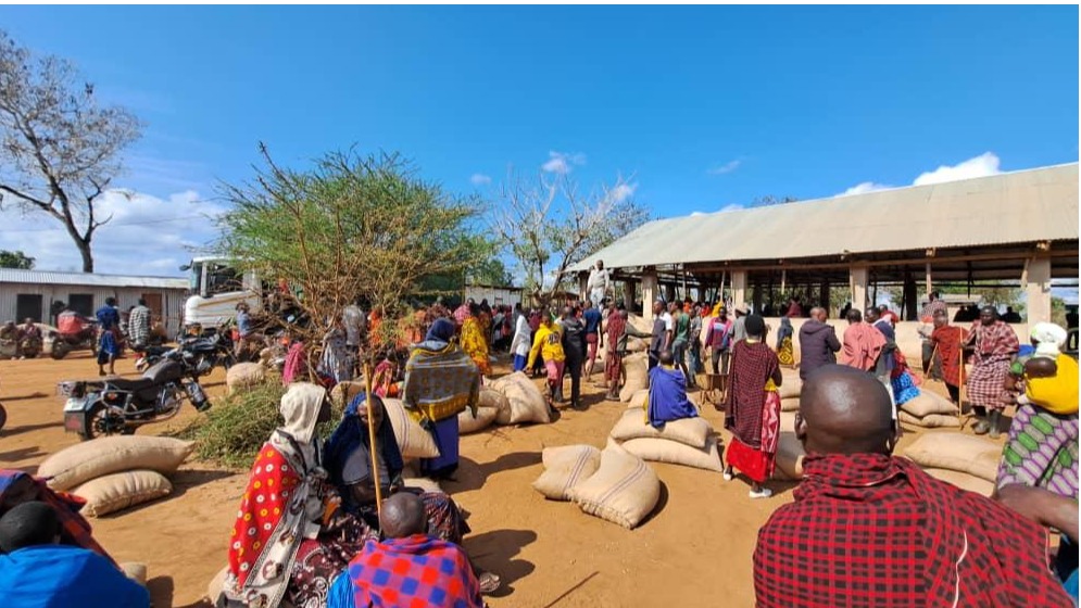 Serikali Yagawa Magunia 1,058 ya Mahindi kwa Wananchi Msomera